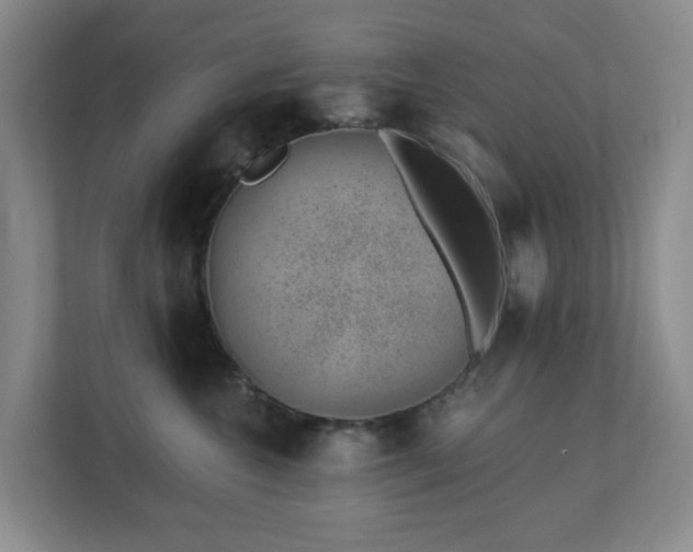X0000112920572200908241228