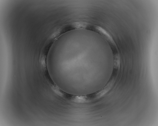 X0000112920573200908241228