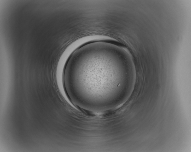 X0000112920576200908241228