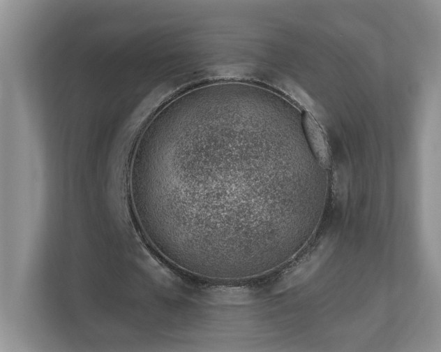 X0000112920577200908241228