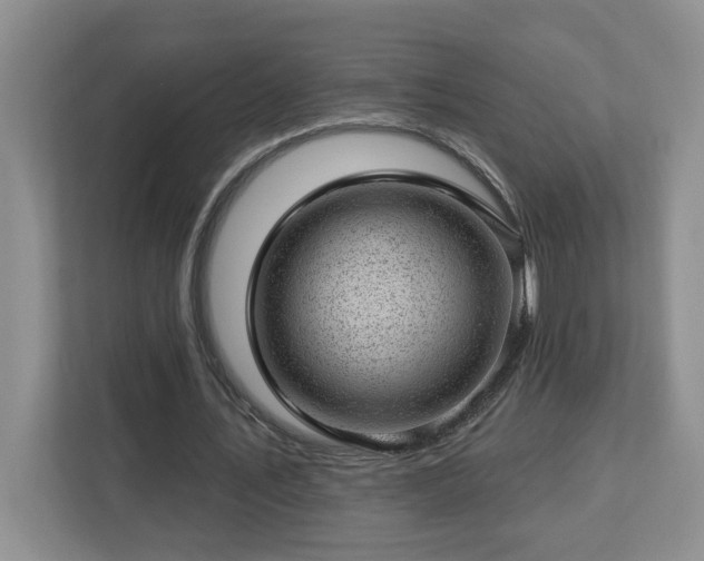 X0000112920579200908241228