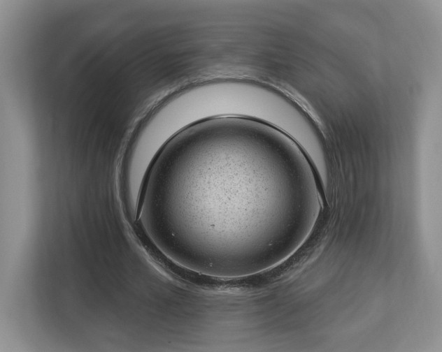 X0000112920581200908241228