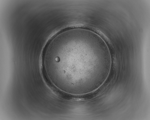 X0000112920582200908241228