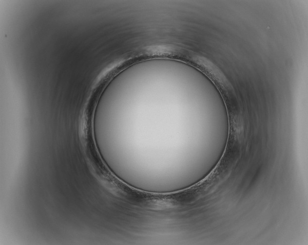 X0000112920583200908241228
