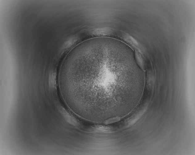 X0000112920585200908241228
