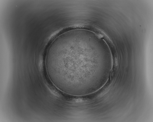 X0000112920588200908241228