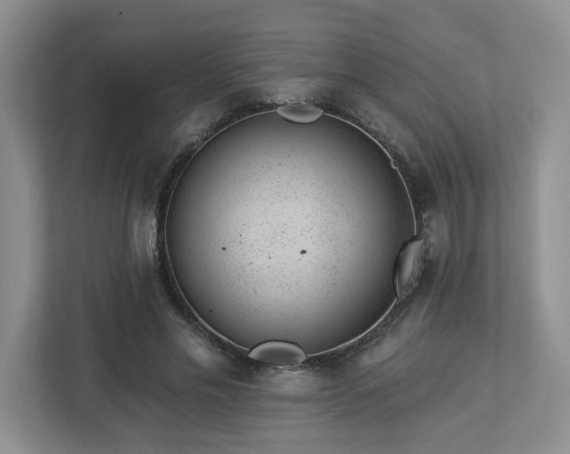 X0000112920589200908241228