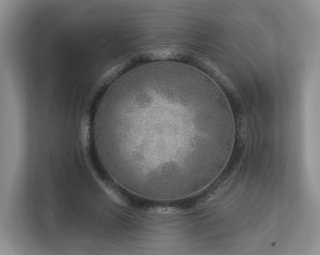 X0000112920590200908241228