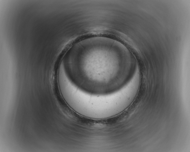 X0000112920592200908241228