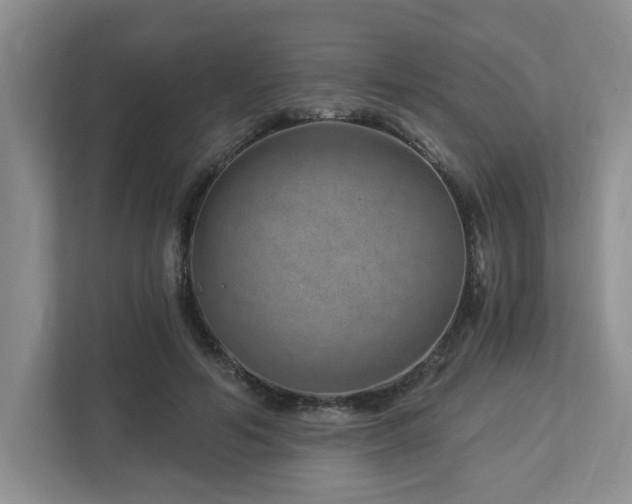 X0000112920594200908241228