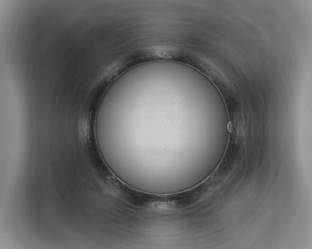 X0000112920595200908241228