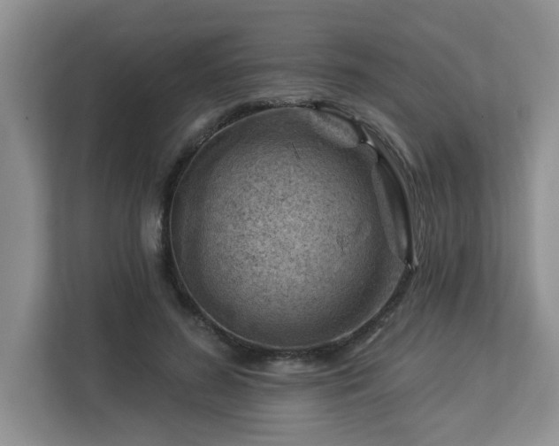 X0000112920596200908241228