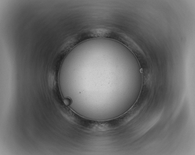 X0000112920599200908241228