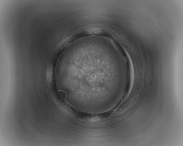 X0000112920600200908241228