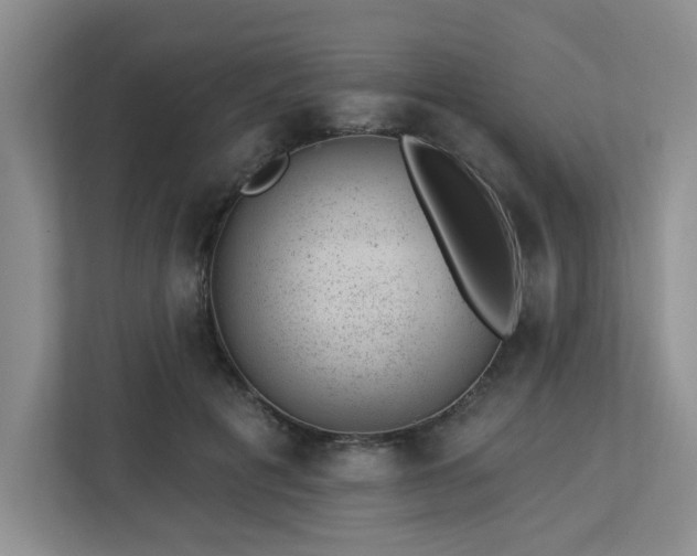 X0000112920601200908241227