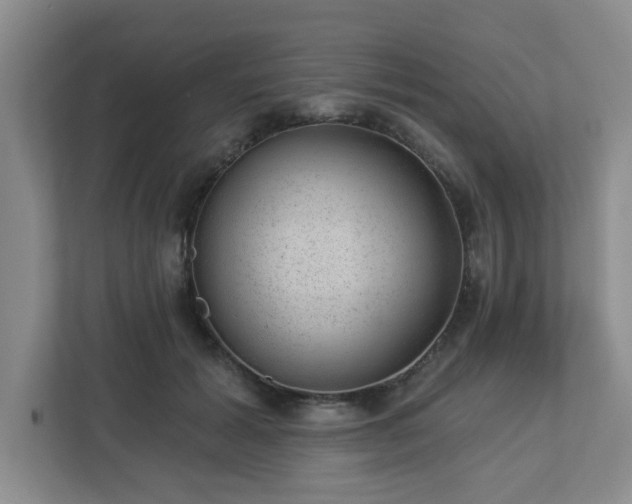 X0000112920605200908241227