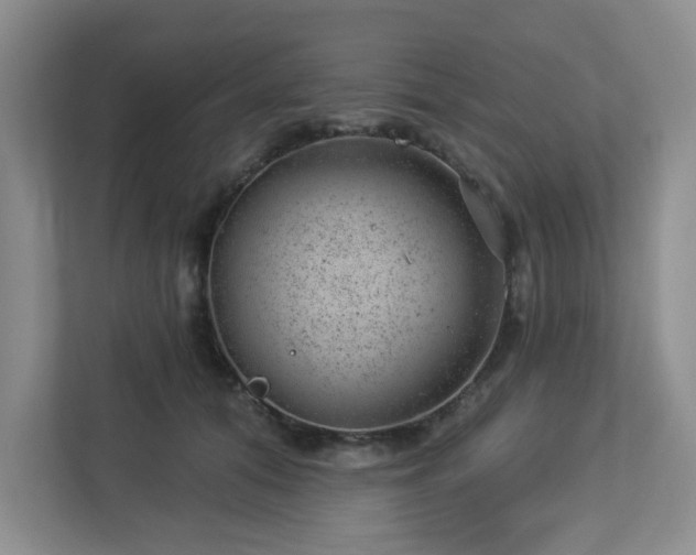 X0000112920608200908241227