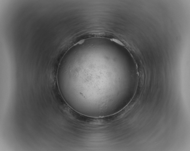 X0000112920609200908241227