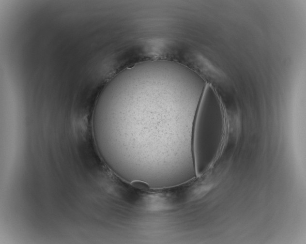 X0000112920611200908241227
