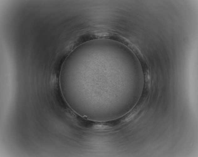 X0000112920614200908241227