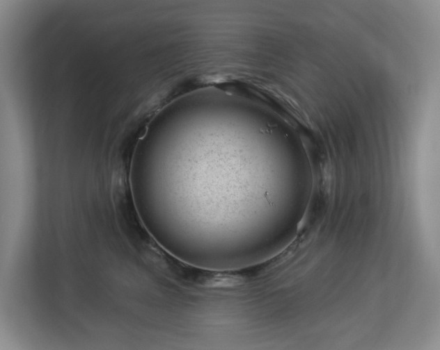 X0000112920617200908241227