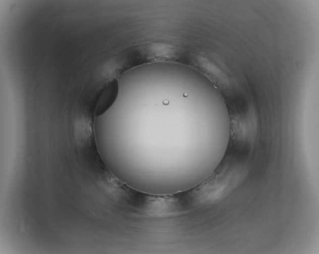 X0000112920621200908241227