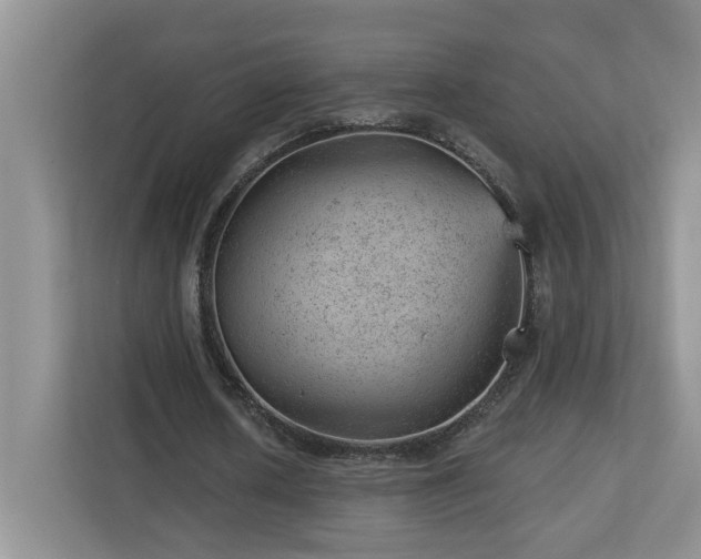 X0000112920626200908241227