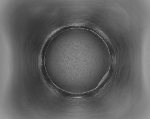 X0000112920628200908241227
