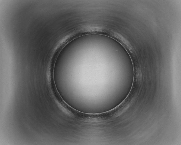 X0000112920629200908241227