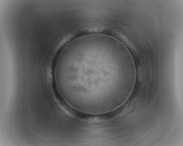 X0000112920634200908241227