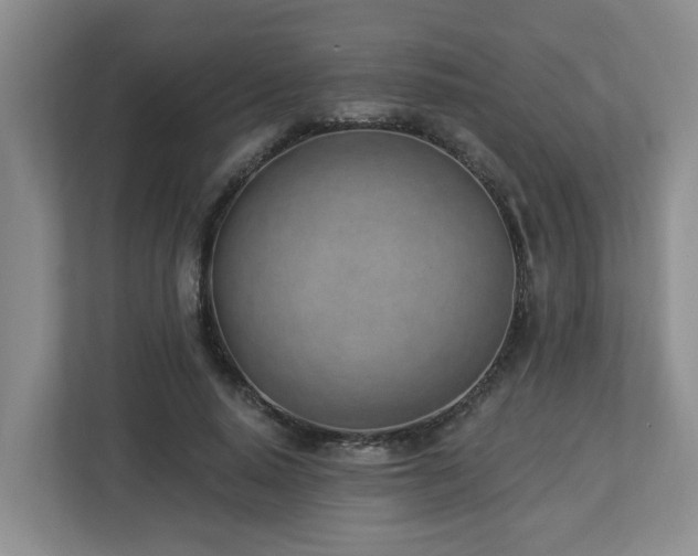X0000112920640200908241227