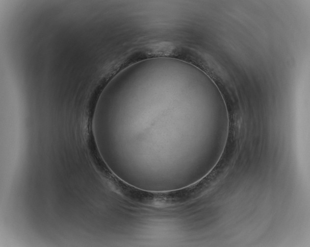 X0000112920641200908241227