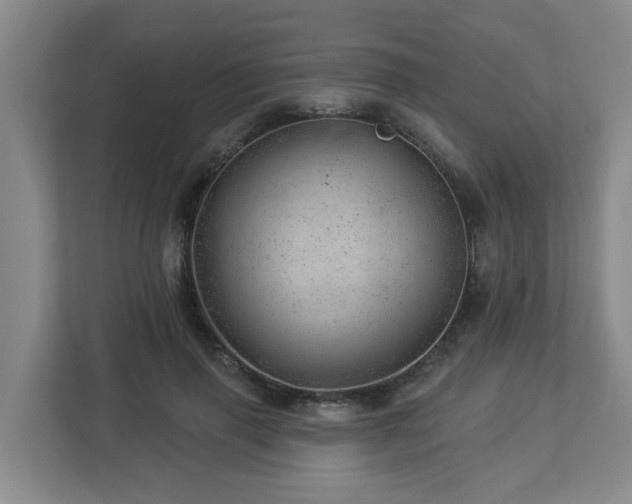 X0000112920645200908241227