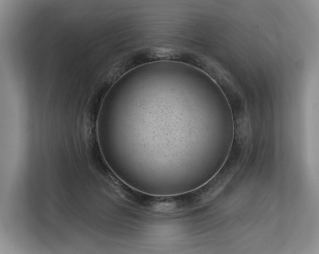 X0000112920653200908241227