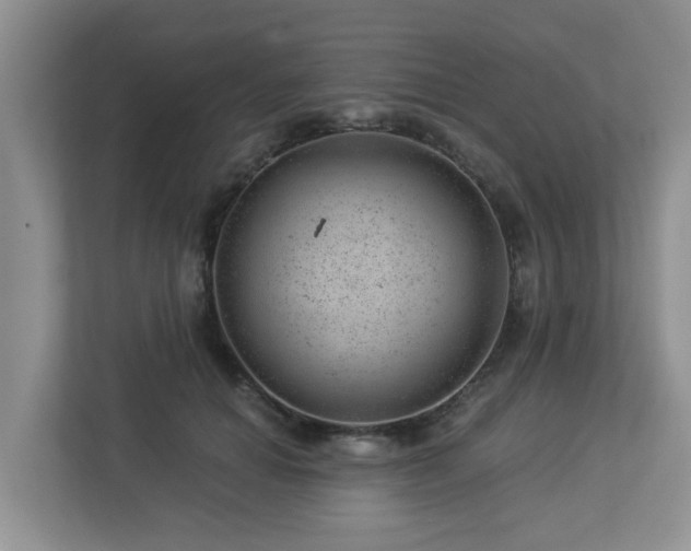 X0000112920654200908241227