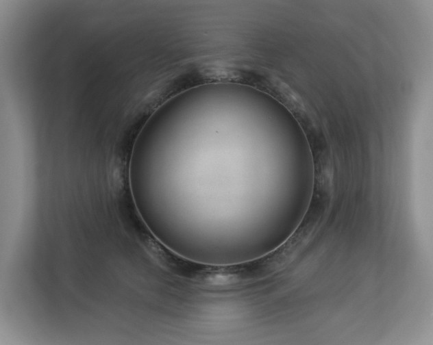 X0000112920658200908241227