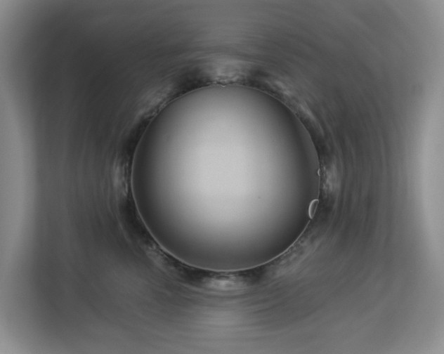 X0000112920666200908241227