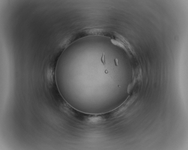 X0000112920669200908241227