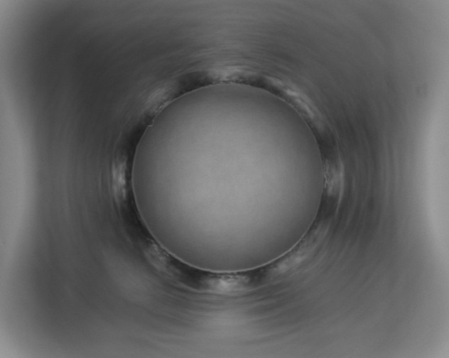 X0000112920670200908241227