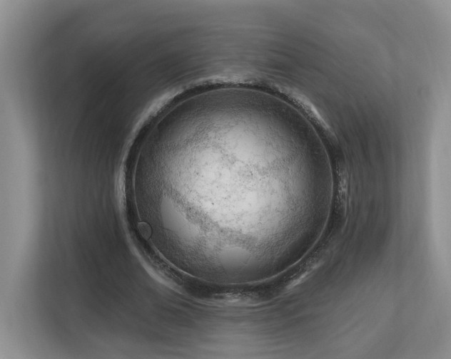 X0000112920678200908241226