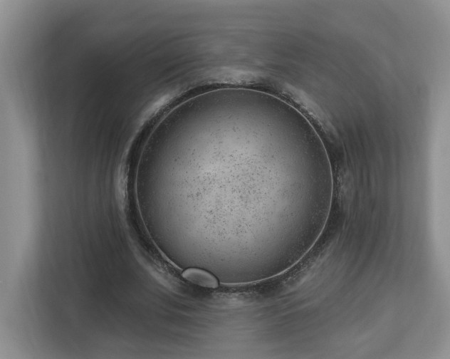X0000112920679200908241226