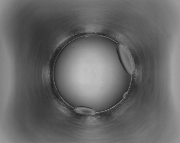 X0000112920684200908241226