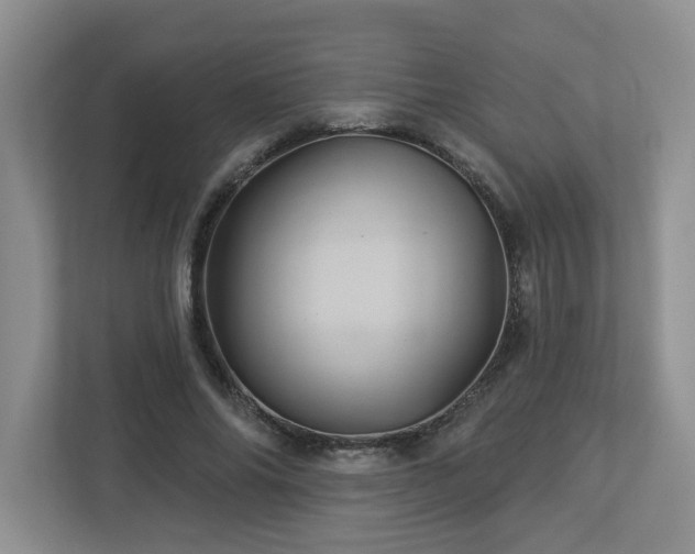 X0000112920686200908241226