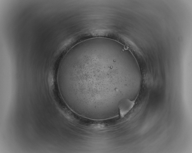 X0000112920687200908241226