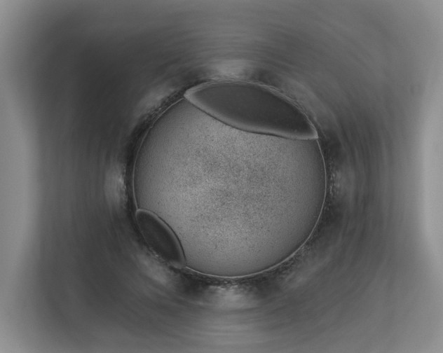 X0000112920688200908241226