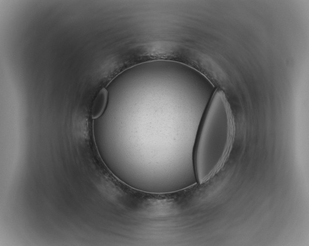 X0000112920689200908241226