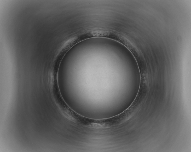 X0000112920690200908241226