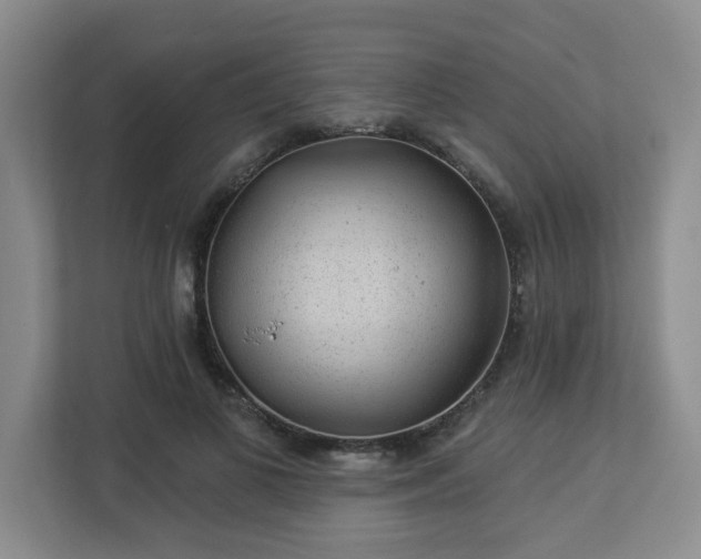 X0000112920693200908241226