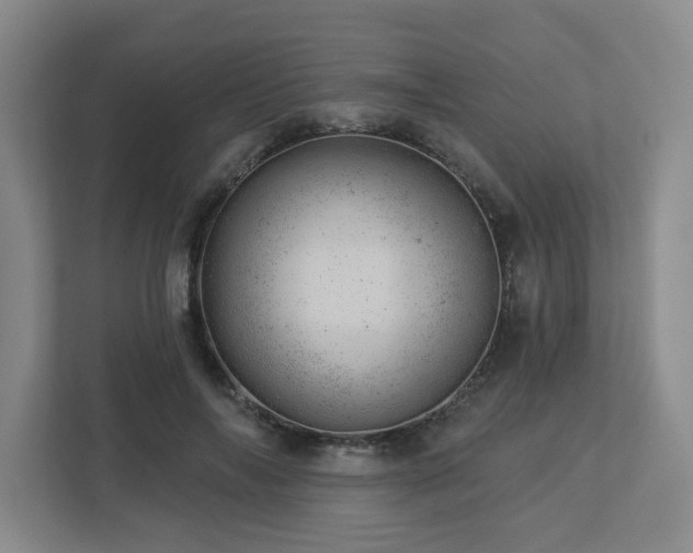 X0000112920694200908241226