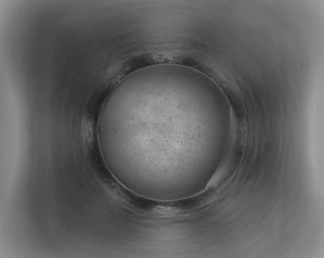 X0000112920699200908241226